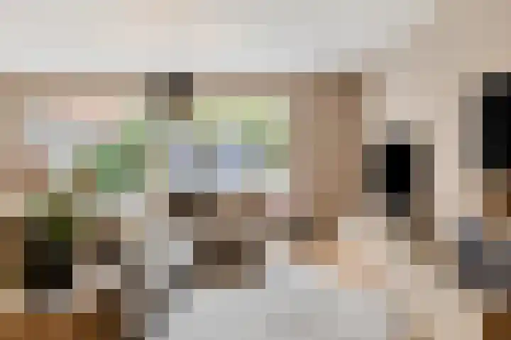 Satijnzwam 13 Veenendaal thumbnail 9