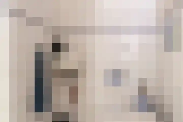 Satijnzwam 22 Veenendaal thumbnail 15