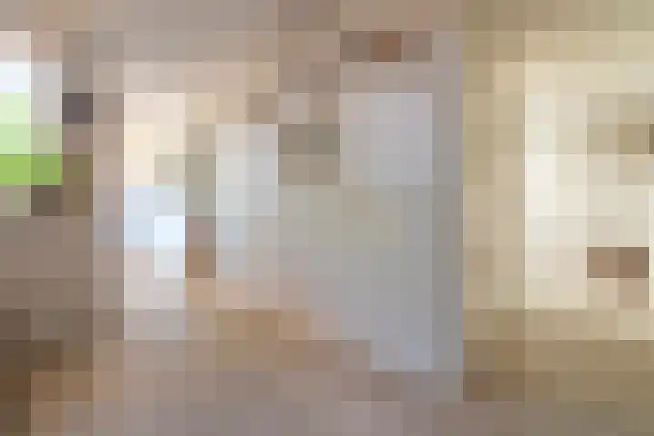 Satijnzwam 22 Veenendaal thumbnail 16