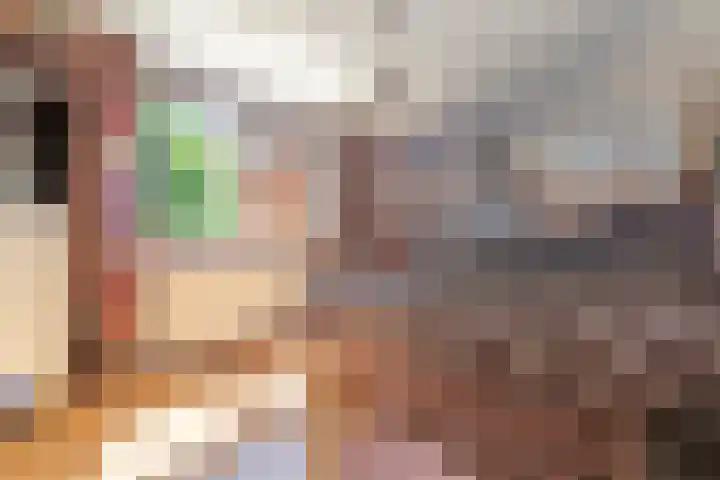 Satijnzwam 22 Veenendaal thumbnail 17