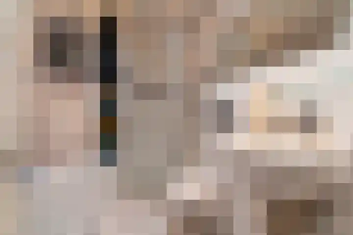 Satijnzwam 22 Veenendaal thumbnail 25