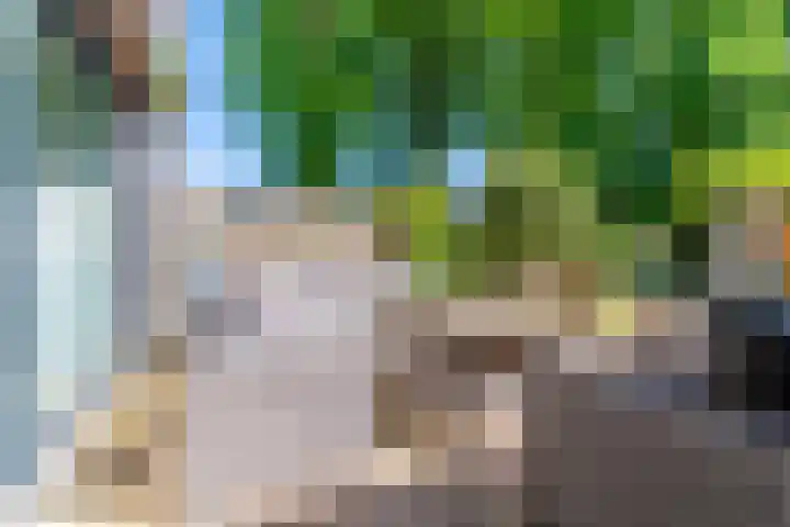 Satijnzwam 22 Veenendaal thumbnail 27