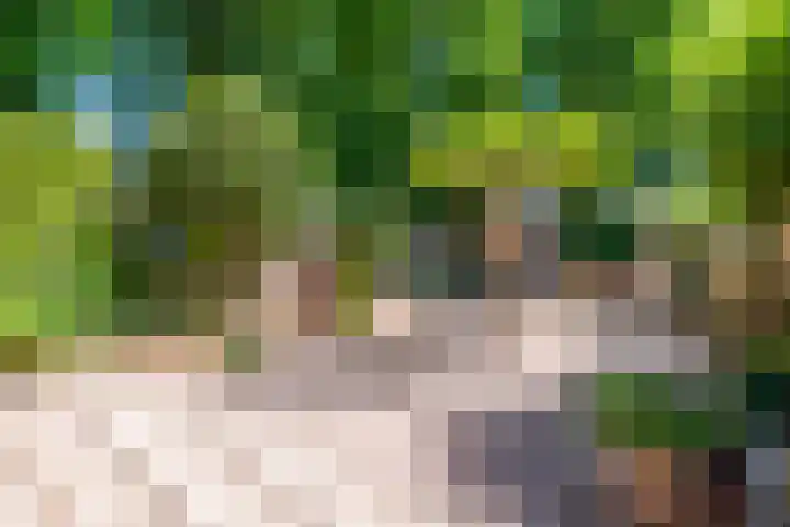 Satijnzwam 22 Veenendaal thumbnail 28