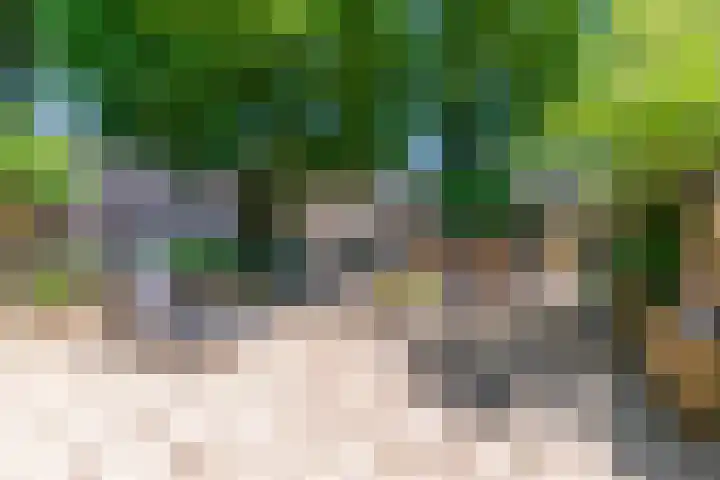 Satijnzwam 22 Veenendaal thumbnail 29