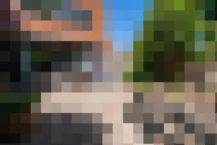 Satijnzwam 22 Veenendaal thumbnail 30