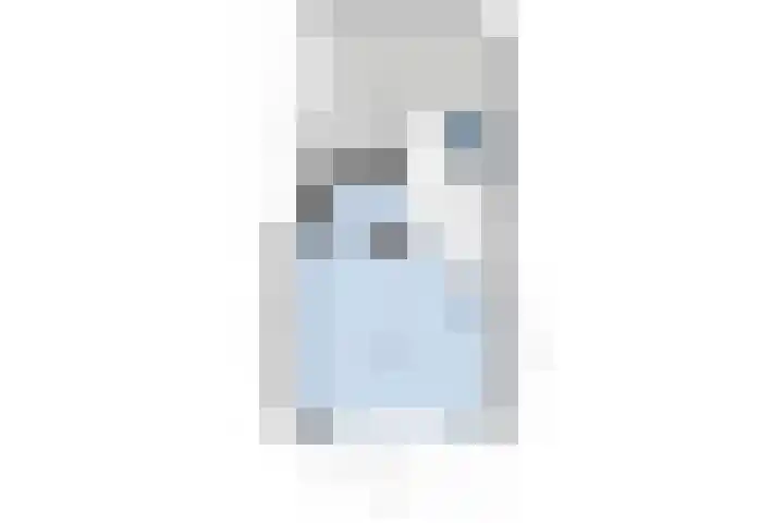 Satijnzwam 22 Veenendaal thumbnail 31