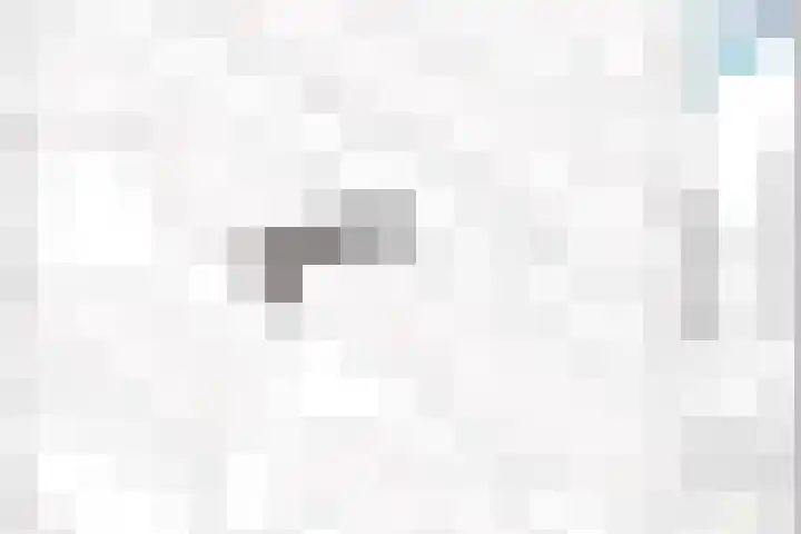 Satijnzwam 22 Veenendaal thumbnail 33