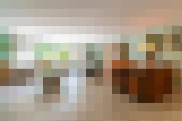 Satijnzwam 22 Veenendaal thumbnail 5