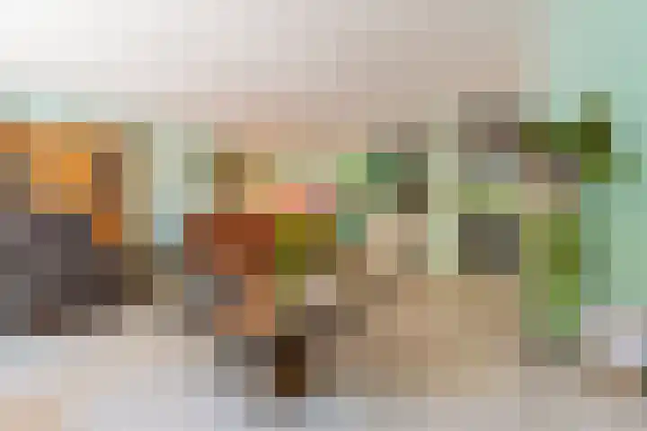 Satijnzwam 22 Veenendaal thumbnail 8