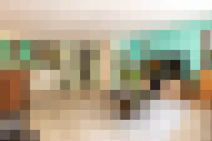 Satijnzwam 22 Veenendaal thumbnail 9