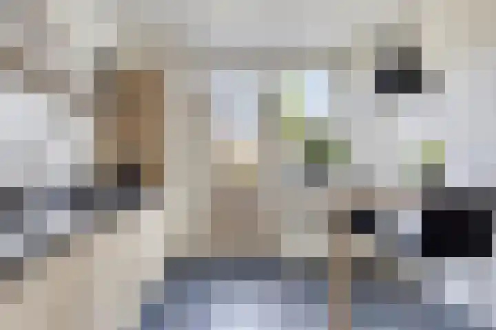 Saturnus 14 Aalten thumbnail 13