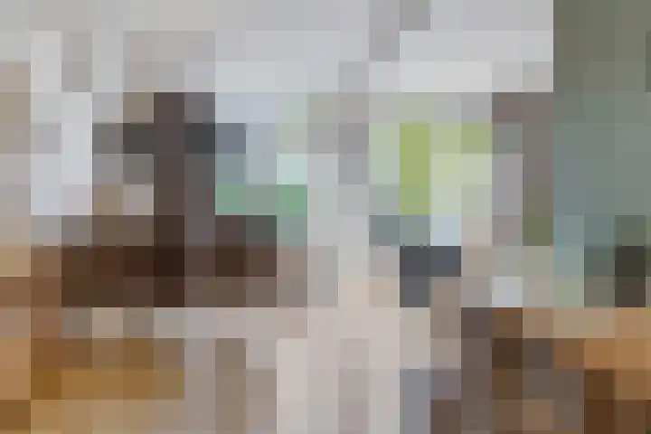 Saturnus 14 Aalten thumbnail 8