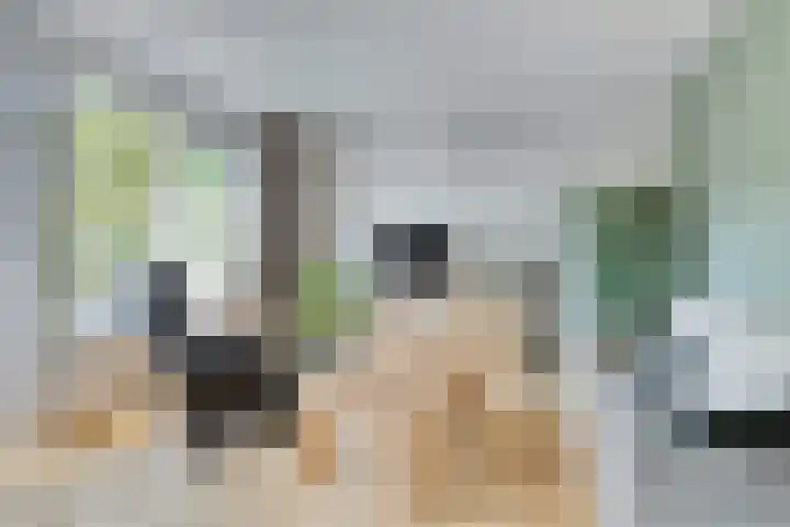 Saturnus 14 Aalten thumbnail 9