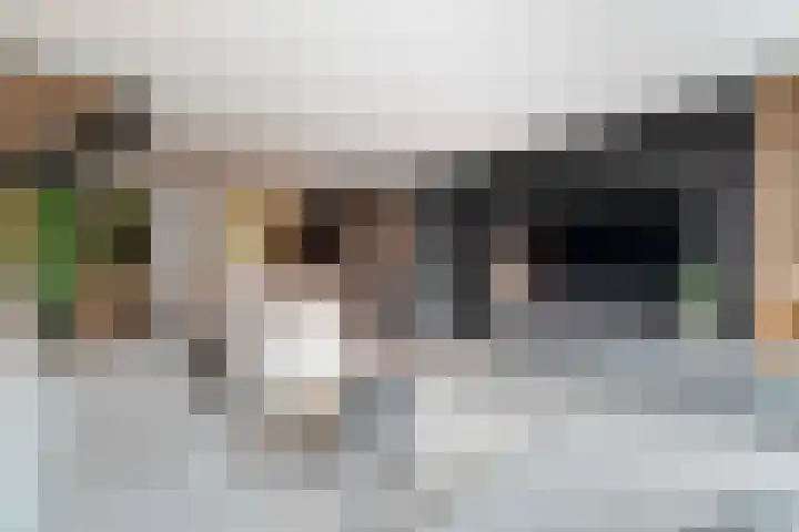 Saturnus 22 Den Helder thumbnail 14