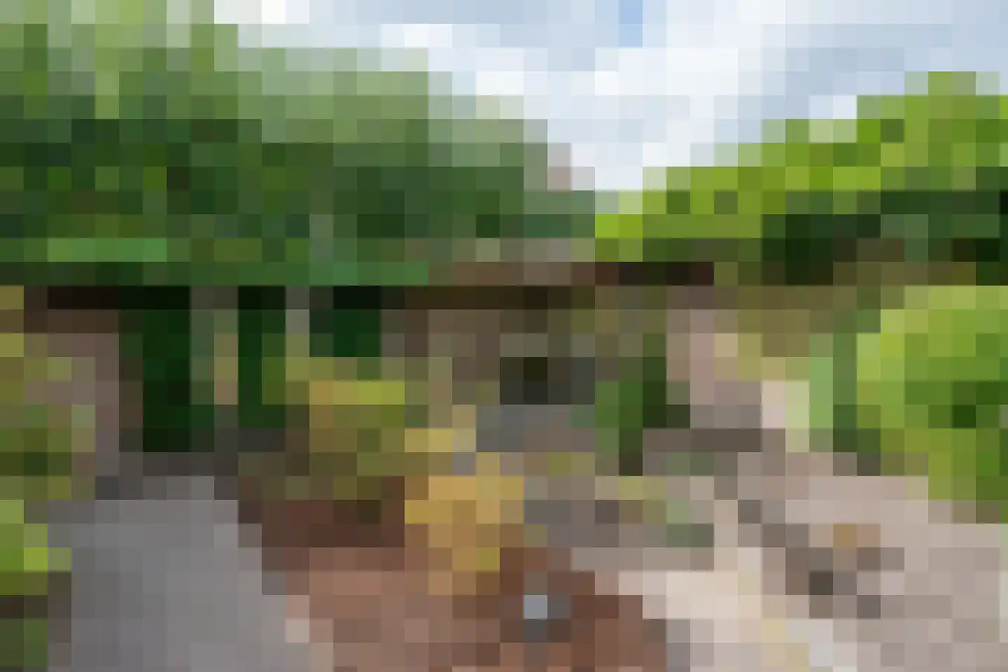 Saturnus 24 Heeze thumbnail 34