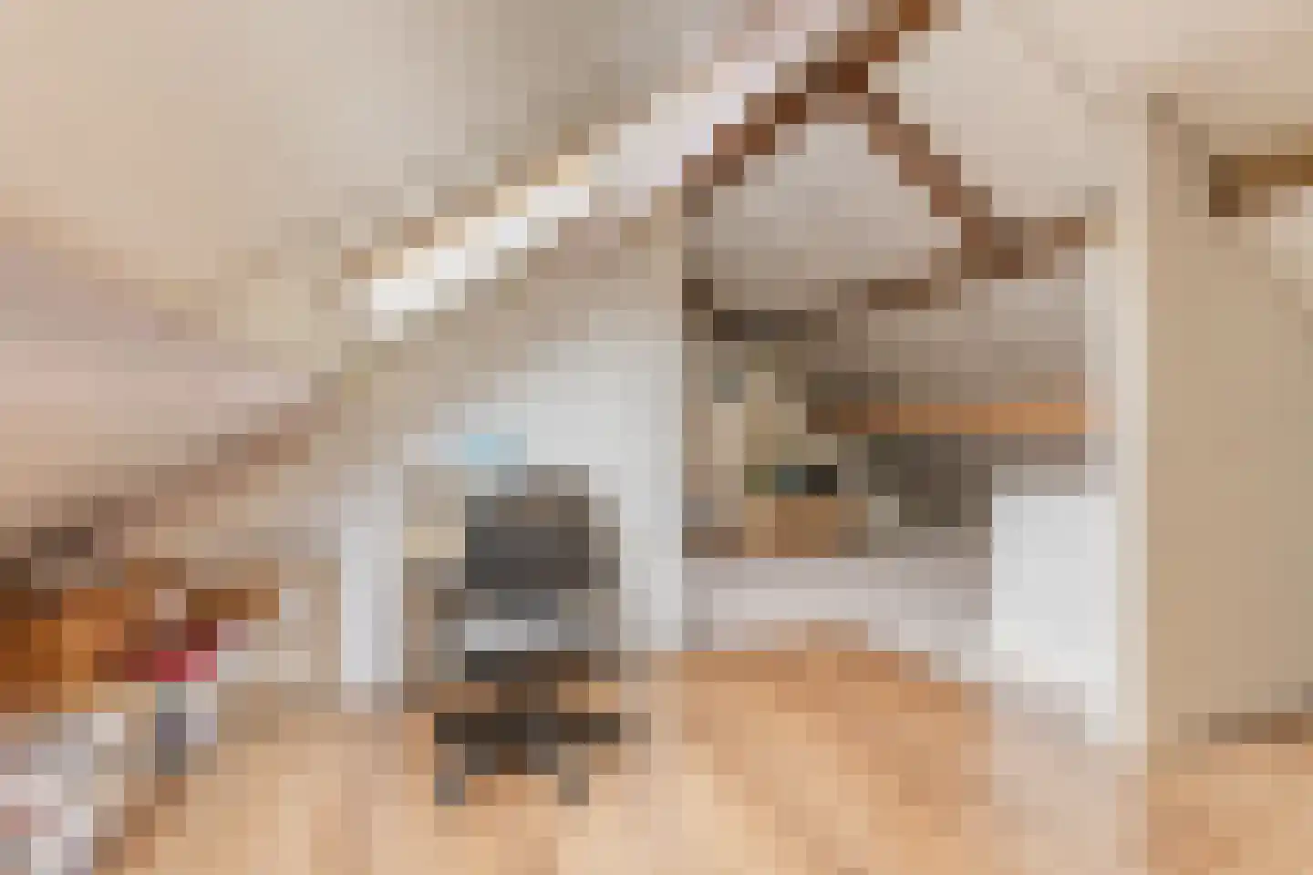 Saturnus 3 Hapert thumbnail 22