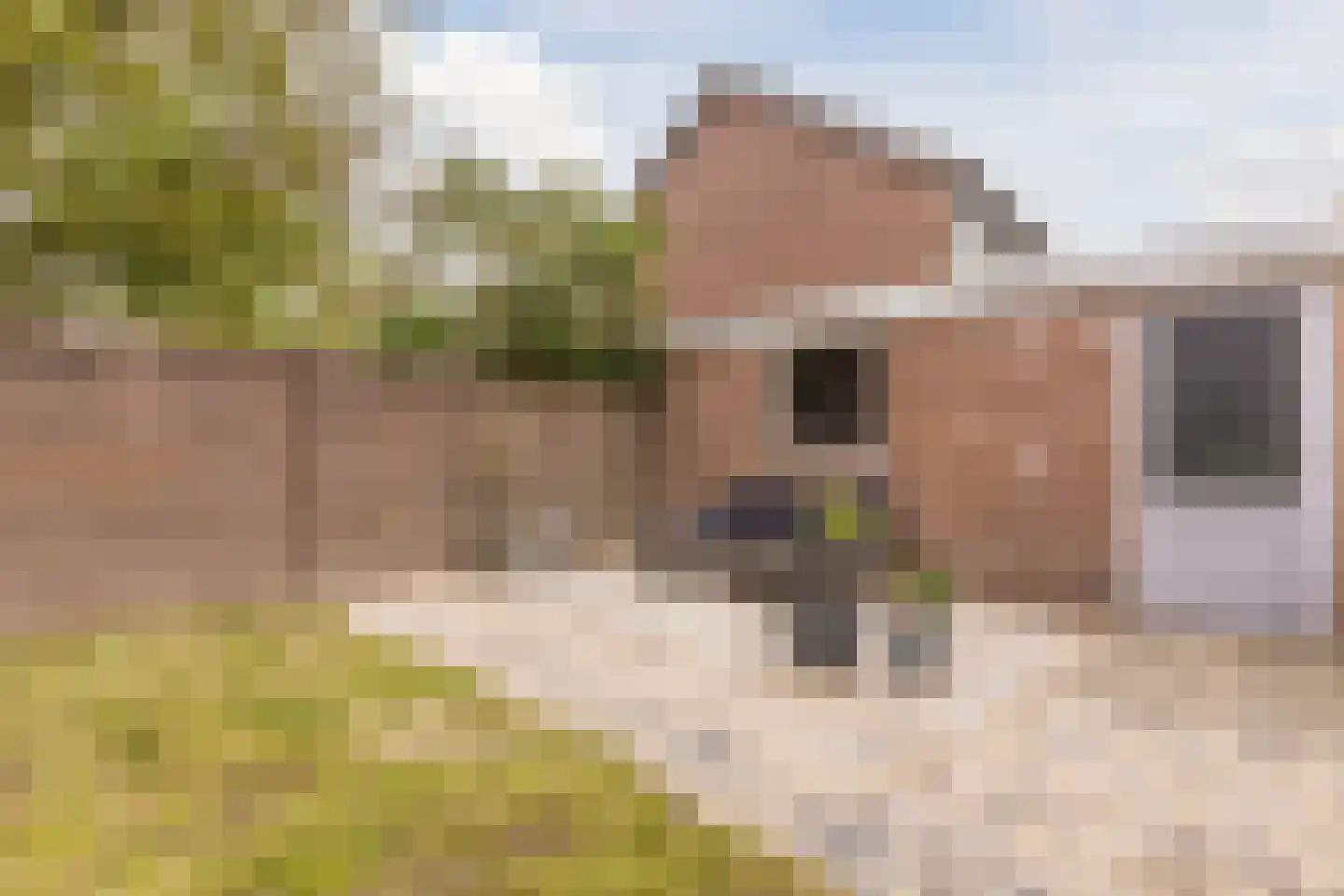 Saturnus 3 Hapert thumbnail 25