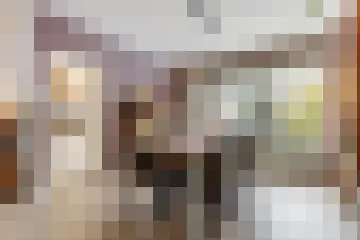 Saturnus 4 Hapert thumbnail 13