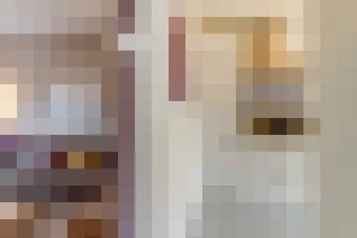 Saturnus 4 Hapert thumbnail 14