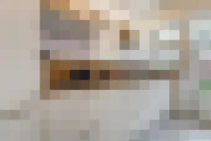 Saturnus 4 Hapert thumbnail 15