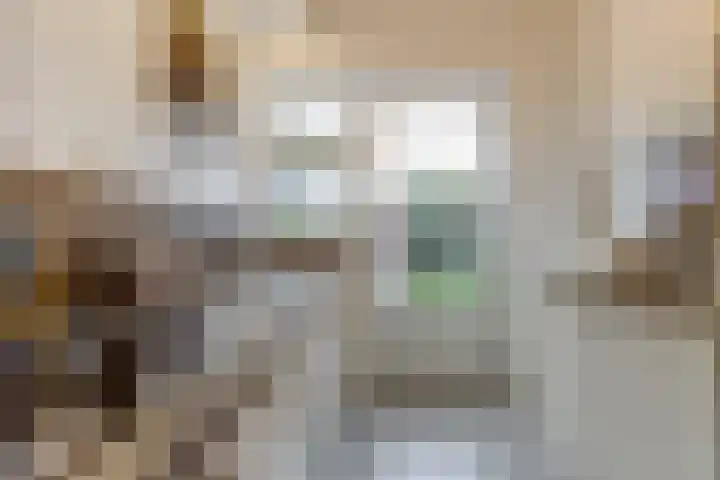 Saturnus 4 Hapert thumbnail 16