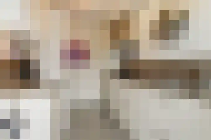 Saturnus 4 Hapert thumbnail 17