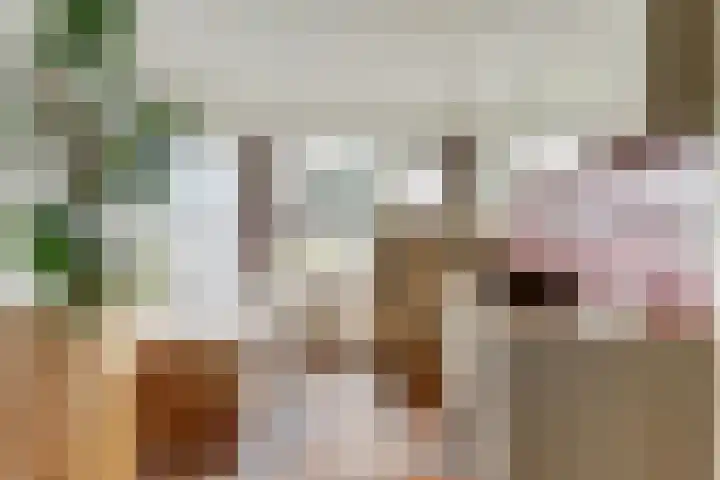 Saturnus 4 Hapert thumbnail 28