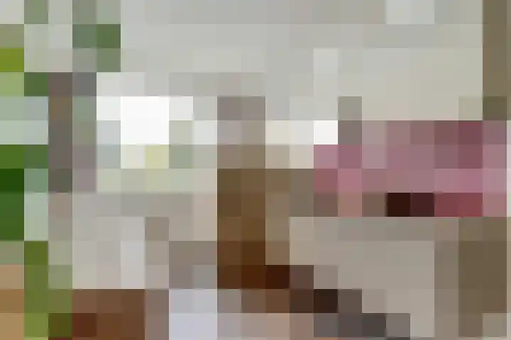 Saturnus 4 Hapert thumbnail 29