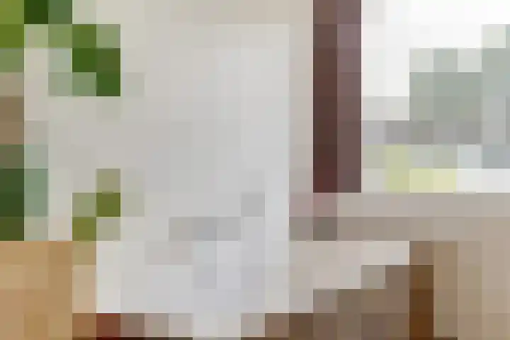 Saturnus 4 Hapert thumbnail 30