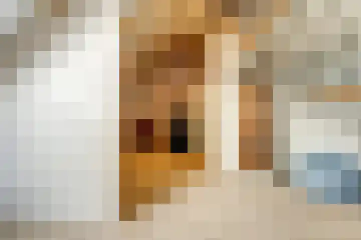 Saturnus 4 Hapert thumbnail 34