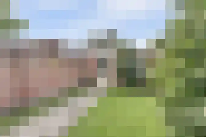 Saturnus 4 Hapert thumbnail 39
