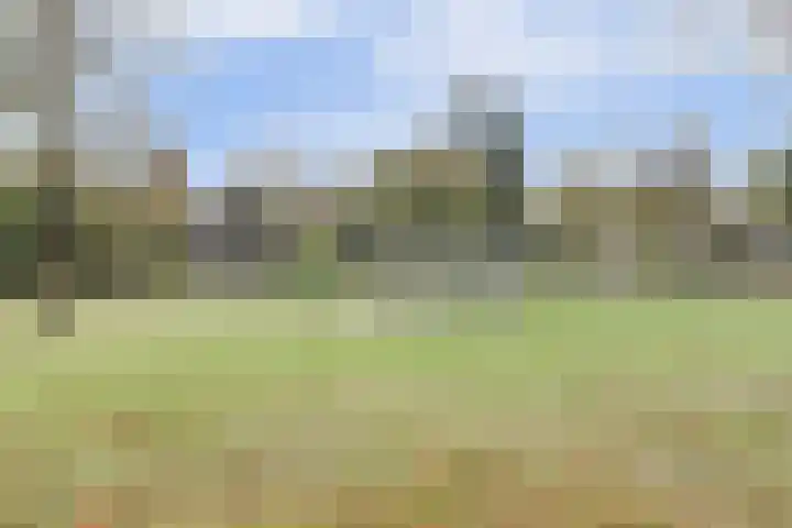 Saturnus 4 Hapert thumbnail 43