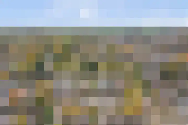 Saturnus 4 Hapert thumbnail 44