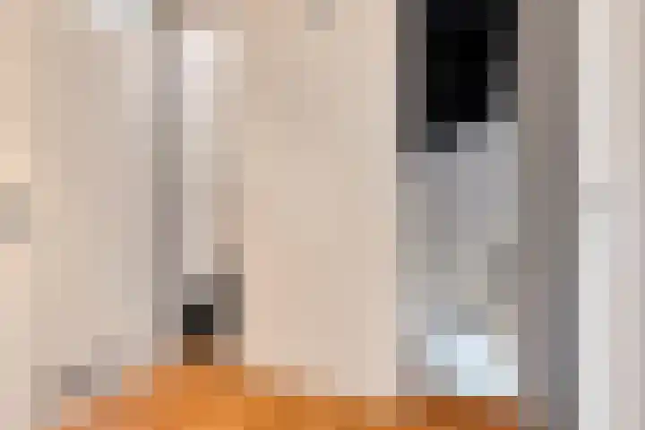 Saturnus 40 Aalten thumbnail 13