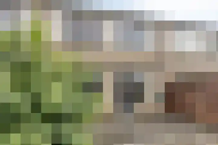 Saturnus 40 Aalten thumbnail 24