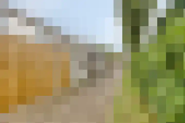 Saturnus 40 Aalten thumbnail 29