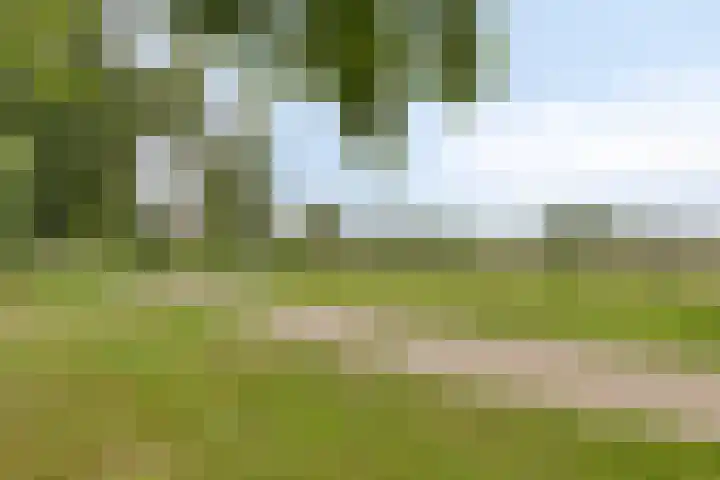 Saturnus 40 Aalten thumbnail 33