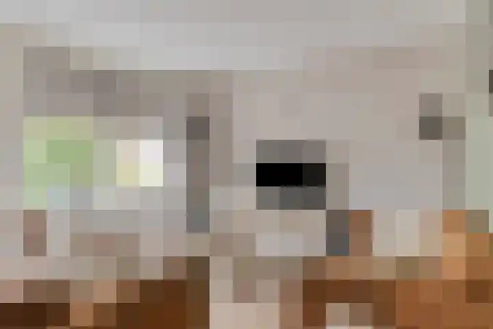 Saturnus 40 Aalten thumbnail 4