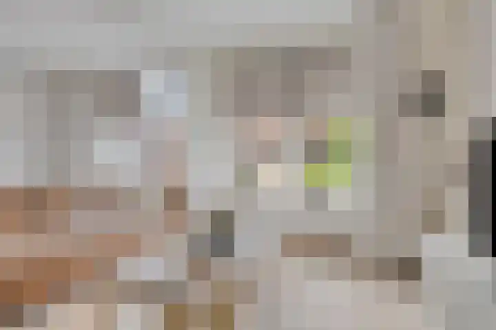 Saturnus 40 Aalten thumbnail 5