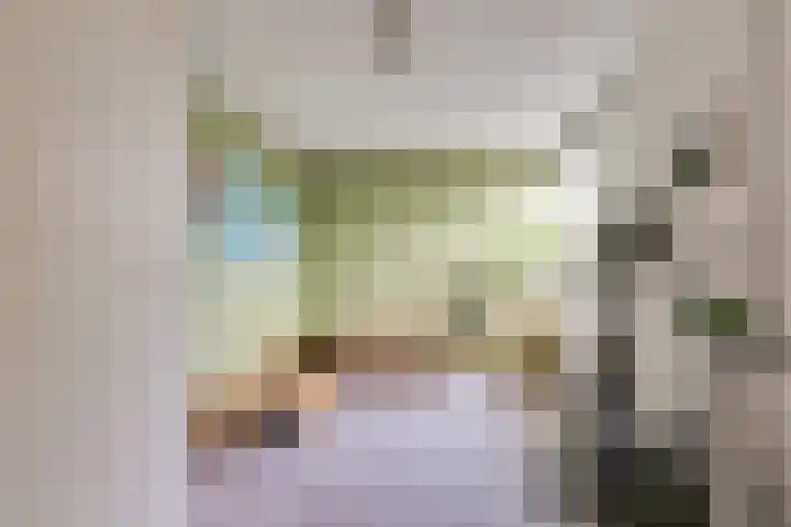 Saturnus 40 Berkel en Rodenrijs thumbnail 33