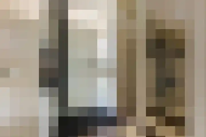 Saturnus 40 Berkel en Rodenrijs thumbnail 8