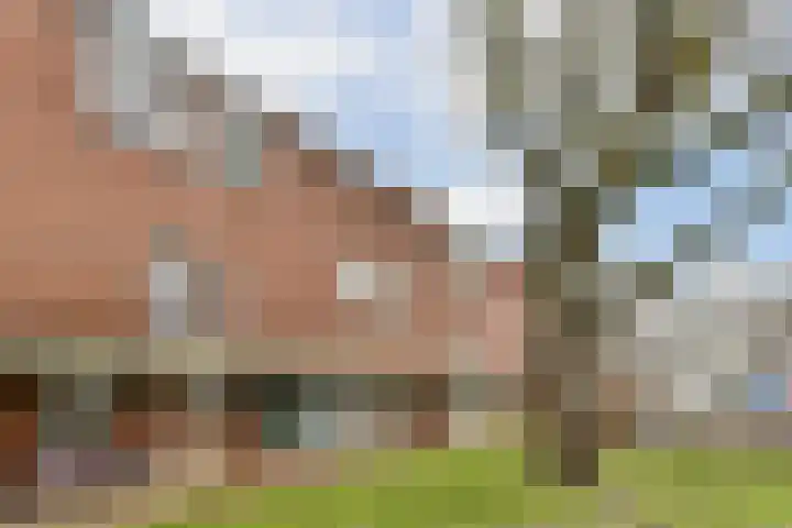 Saturnus 43 Berkel en Rodenrijs thumbnail 4