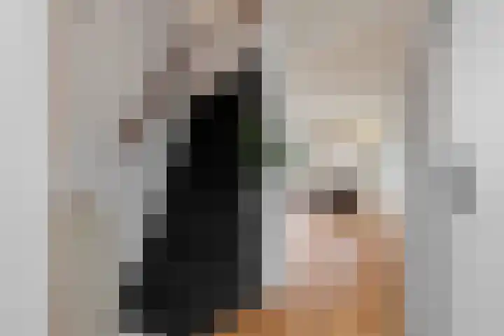 Saturnus 46 Den Helder thumbnail 6