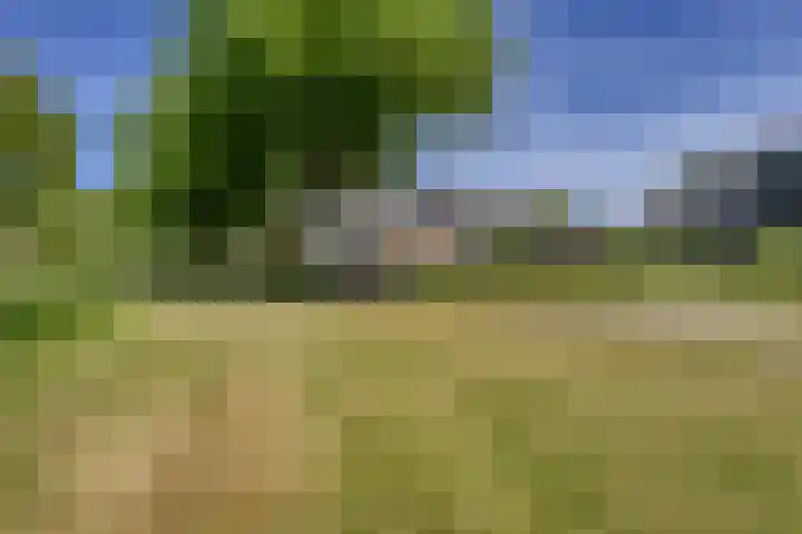 Saturnus 50 Katwijk thumbnail 30
