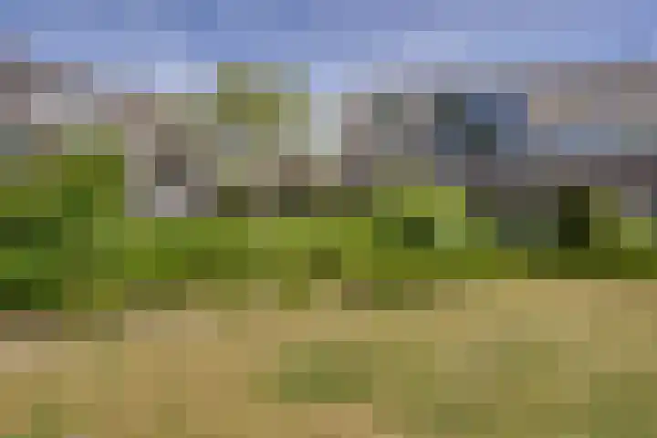 Saturnus 50 Katwijk thumbnail 31
