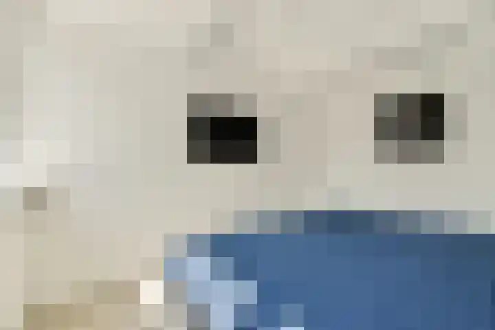 Saturnus 63 Amstelveen thumbnail 26