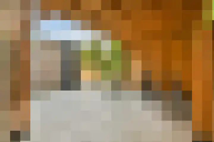 Saturnus 63 Amstelveen thumbnail 34