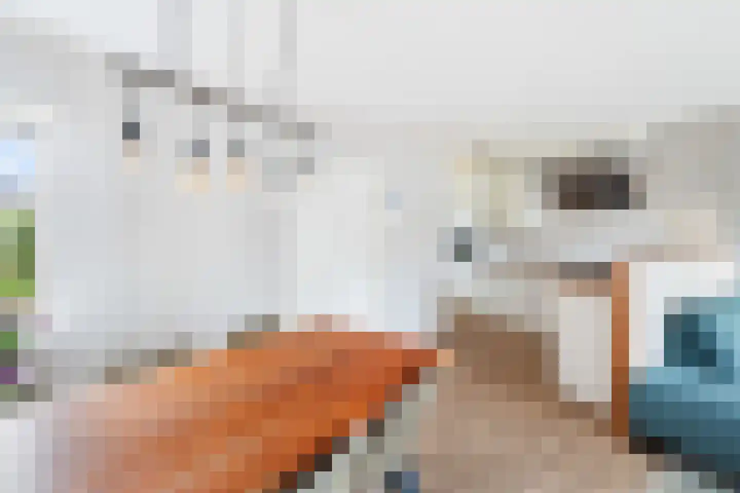 Saturnus 7 Berkel en Rodenrijs thumbnail 20