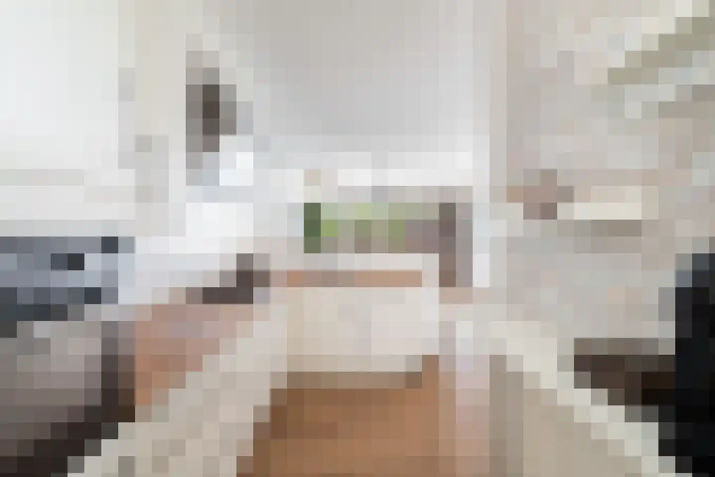 Saturnus 7 Berkel en Rodenrijs thumbnail 23