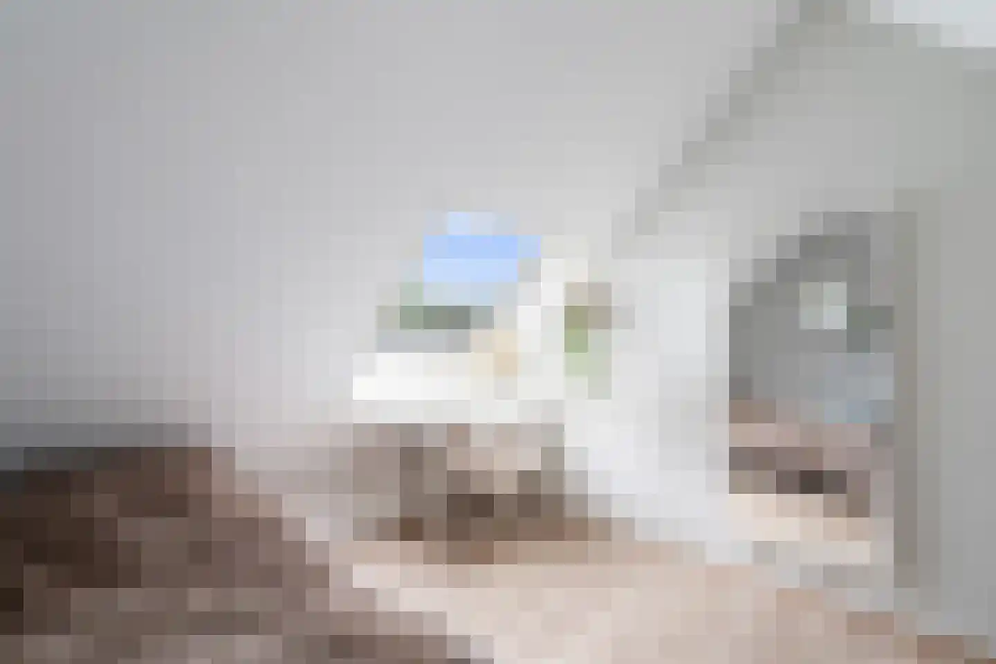 Saturnus 7 Berkel en Rodenrijs thumbnail 35